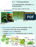 Chapter 7 - Photosynthesis: - Almost All Plants Are Photosynthetic Autotrophs, As Are Some Bacteria and Protists