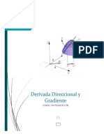 Derivada Direccional