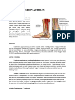 Rupture Tendon Achiles