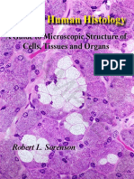 Sorenson Atlas of Human Histology Chapter 14