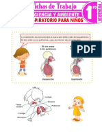 El Sistema Respiratorio para Niños para Primer Grado de Primaria