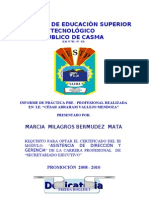 Informe Practica Preprofesional