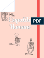 Esqueleto Humano