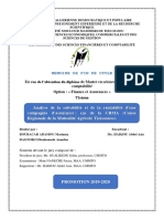 Memoire Complet PDF