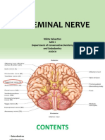 Trigeminal Nerve: Nikita Sebastian Mds I Department of Conservative Dentistry and Endodontics JSSDCH