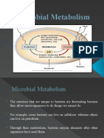 Microbial Metabolism Lecture Part A