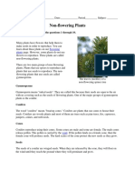 Non-Flowering Plants: Read The Phase To Answer The Questions 1 Through 10