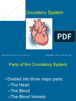 The Circulatory System