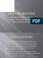 Virus de Bovinos