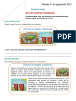 Comunicación Sabiduría de Nuestros Antepasados