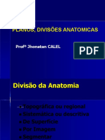 Anatomia Planos e Mostruosidade - Aula 2