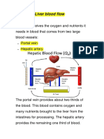 Liver Blood Flow