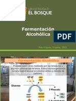 Fermentación Alcohólica