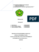 Makalah Sistem Peredaran Darah - Struktur Hewan