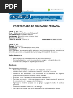 PRIMARIA - Práctica - Ciencias Naturales