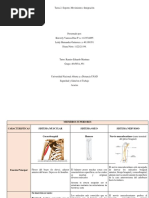 Tarea2 Grupal Morfofisiología