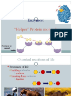 Enzymes:: "Helper" Protein Molecules