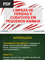 Aula 14 - Limpeza de Feridas e Curativos em Pequenos Animais