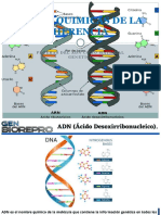 Tema 3 BASES QUIMICAS DE LA HERENCIA