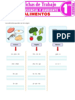 Los Alimentos para Primer Grado de Primaria