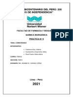 Practica 9 Carbonoides Q.I.