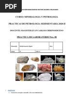 Practica Nro. 08 Rocas Sedimentarias 2020-I