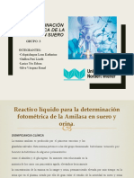 ANALISIS CLINICO 11 La Determinación Fotométrica de La Amilasa en Suero