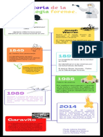 Azul y Blanco Minimalista Monótono Historia de Una Organización Cronograma Infografía