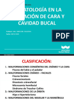 Clase 10 - Biopatologia en La Formacion de Cara y Cavidad Bucal.2020-Ii