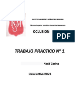 TP1 Oclusion - Nasif