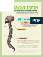 Nervous System