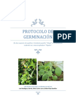 Pasos de Germinacion