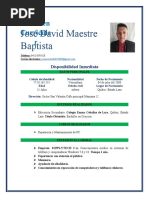 José David Maestre Baptista: Resumen Curricula R