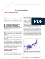 Les Couleurs en Dermatopathologie: Mise Au Point