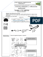 Guía N 3 Ciencias Naturales Grado Cuarto