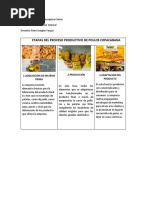 Etapas Del Proceso Productivo de Pollos Copacabana