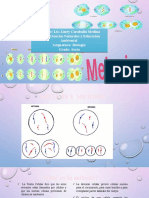 Mitosis y Meiosis - Liney Caraballo