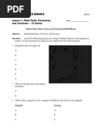 Lesson 1 Worksheet