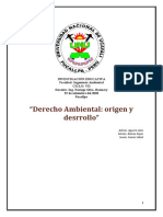 Ensayo-Derecho Ambiental