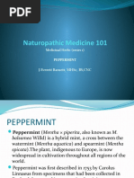 Naturopathic Medicine 101 - Peppermint