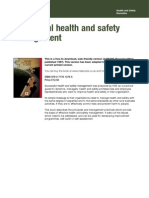 HSE HSG 065 Successful Health and Safety Management 2nd Edition