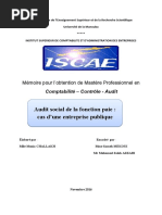 Audit Social de La Fonction Paie 1