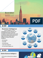 Business Intelligence ERP