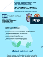 Insuficiencia Renal Crónica Terminal