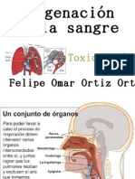 Oxigenacion de La Sangre