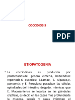 Coccidiosis Completo