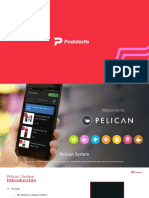 Pelican Pedidos Ya, Manual