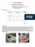 Informe de Laboratorio de Morcilla Univalle