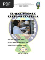 Elaboracion de Queso Mozzarella Informe