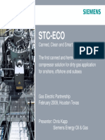 Siemens PDF